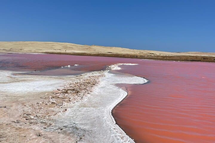 Golden Shadows Trek: Paracas Pink Lagoon, Red Beach & Sunset Walk