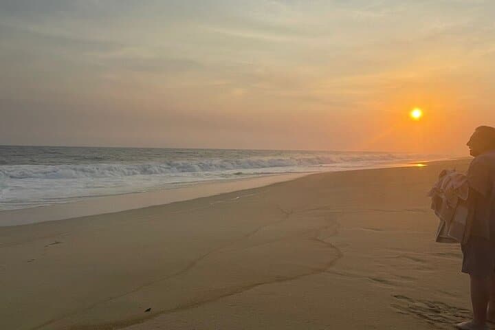 Private Baby Sea Turtle Release in Huatulco — Evening Conservation Experience photo 3