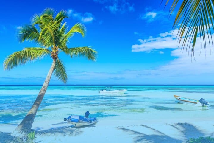 Santo Domingo to Saona Island — Small-Group Catamaran Day Trip photo 4