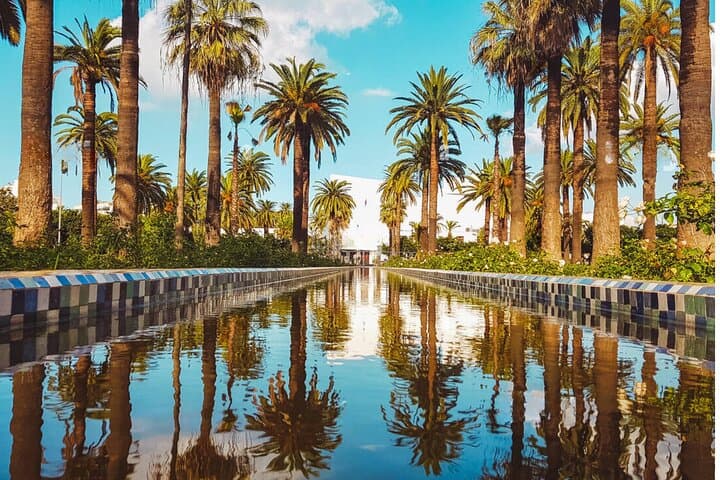 Casablanca Hassan II Mosque Guided Tour & Arab League Park Walk photo 5