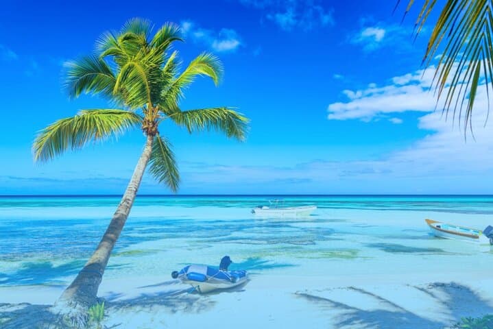 Saona Island Day Trip from Punta Cana: Catamaran, Natural Pool & White-Sand Beaches photo 4