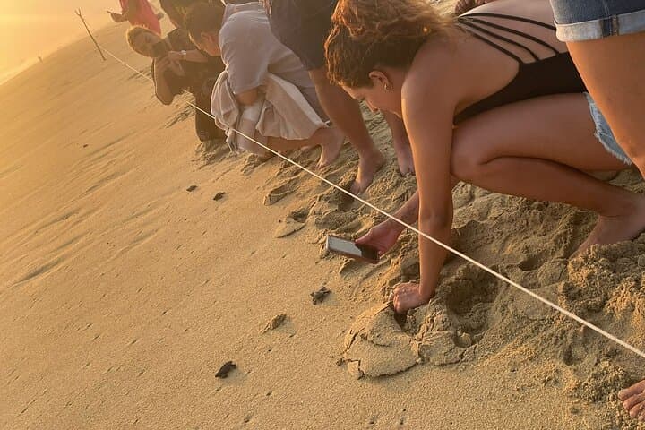 Private Baby Sea Turtle Release in Huatulco — Evening Conservation Experience photo 2