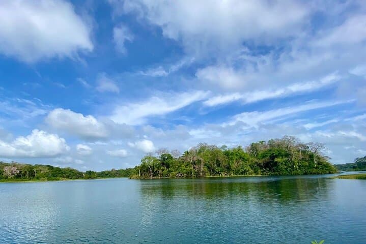 Gatun Lake Wildlife Safari: Monkey Watch & Panama Canal Boat Tour