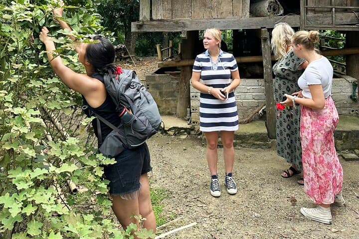 Pu Luong Half-Day Trek: Rice Terraces, Village Culture & Spring Pools photo 6