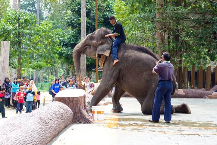 Batu Caves & Kuala Gandah Elephant Sanctuary Day Tour from Kuala Lumpur photo 2