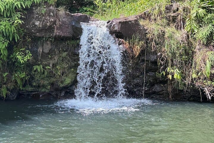 Cloudforest Bioreserve Botanical Tour & Waterfall Swim on Mauna Kea photo 2