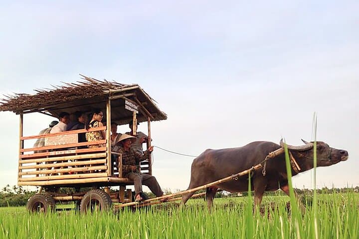 Pu Luong 3-Day Trek, Cycle & Village Cooking Experience
