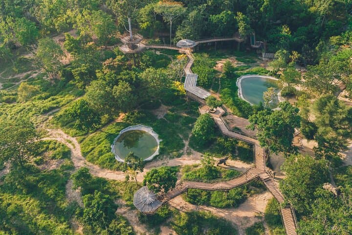 Samui Elephant Kingdom: Ethical Sanctuary Skywalk Experience on Koh Samui photo 5