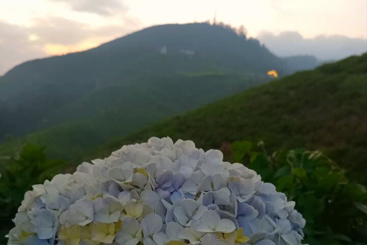 Nuwara Eliya Tuk‑Tuk Tour: Waterfalls, Tea Plantations & Mountain Views photo 6