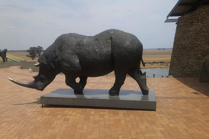 Or Tambo to Hoedspruit Shuttle — Stress-Free Transfer to the Kruger Gateway photo 5
