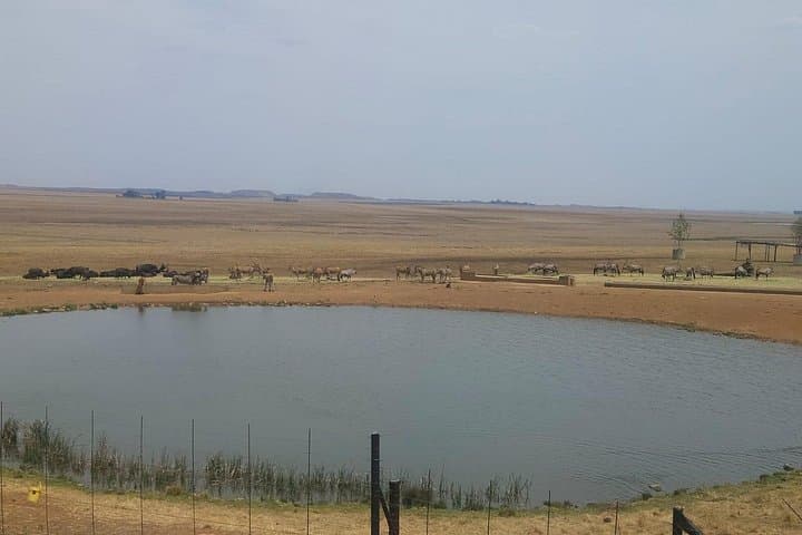 Or Tambo to Hoedspruit Shuttle — Stress-Free Transfer to the Kruger Gateway photo 6