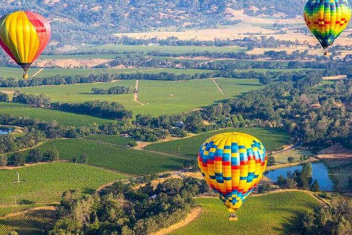 SFO to Napa Valley Private Transfer — Direct Airport Ride to Wineries photo 4