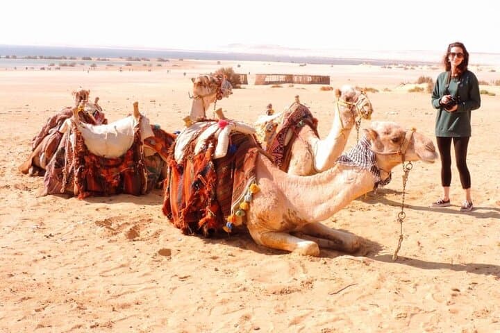 Overnight Camping in El-Fayoum Oasis: Wadi Hitan, Magic Lake & Wadi Rayan Waterfalls photo 4