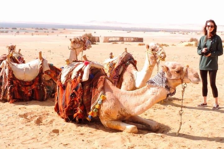 Overnight Camping in El-Fayoum Oasis: Wadi Hitan, Magic Lake & Wadi Rayan Waterfalls photo 6