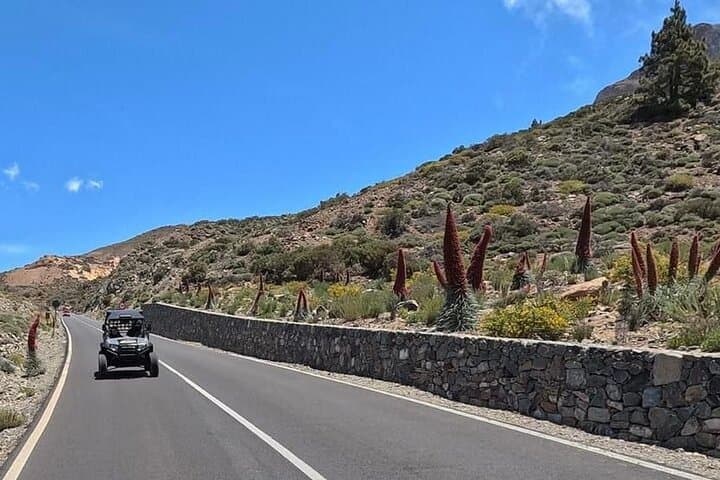 Buggy Tour to Mount Teide: Explore Teide National Park by Buggy photo 3