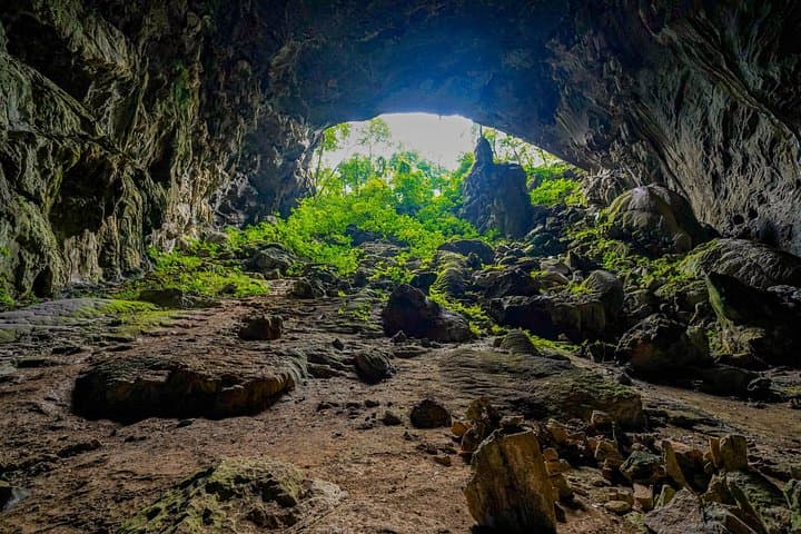 Elephant Cave and Ma Da Valley Jungle Trek — Day Hike in Phong Nha photo 2