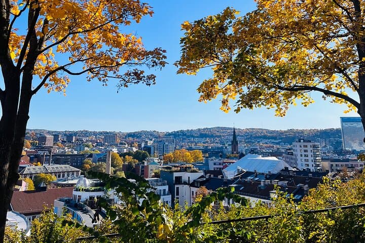 Taste Oslo: Norwegian Food Tour & Hidden Gems City Walk photo 4