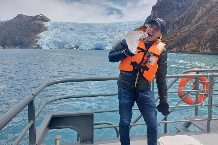 Whales, Penguins & Glaciers: Full-Day Navigation from Punta Arenas photo 5