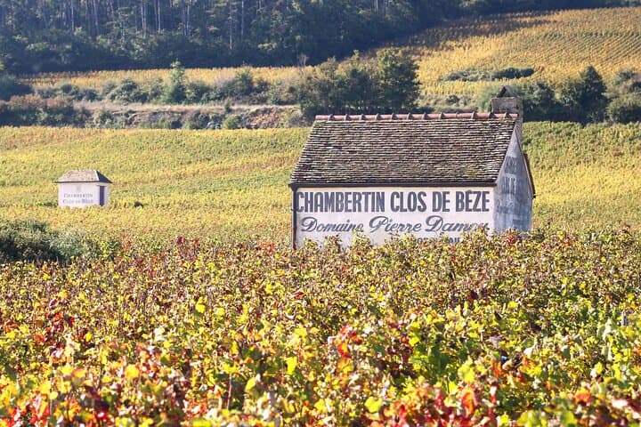 Private Wine Tasting Tour: Route des Grands Crus – Burgundy Day Trip from Dijon photo 5