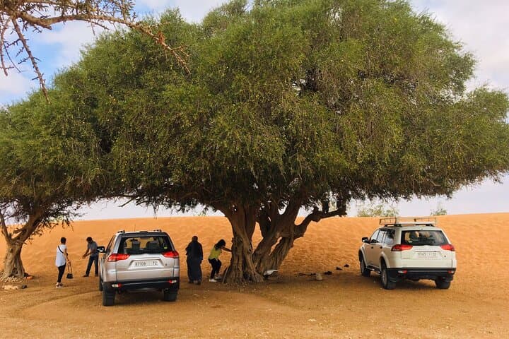 Agadir Jeep Day Trip to Tiznit & Sahara Dunes: Tifnit, Berber Lunch, Massa River photo 1