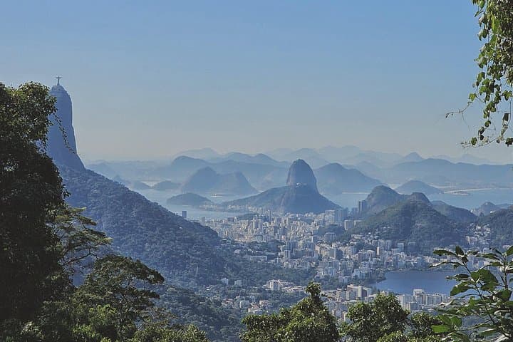 Tijuca Forest Morning: Waterfalls, Wildlife & Urban Wilderness Tour photo 1