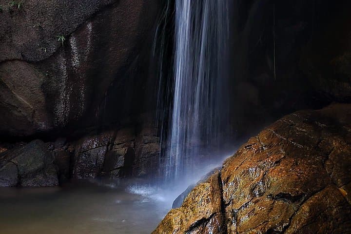 Tijuca Forest Morning: Waterfalls, Wildlife & Urban Wilderness Tour photo 4