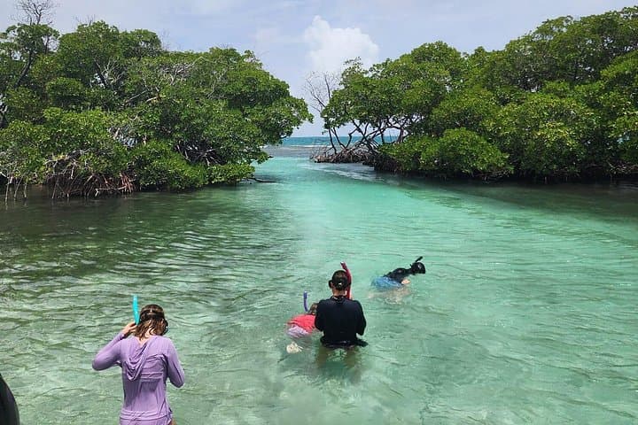La Parguera Private Boat Charter — Island Hopping, Snorkeling & Sandbars photo 5