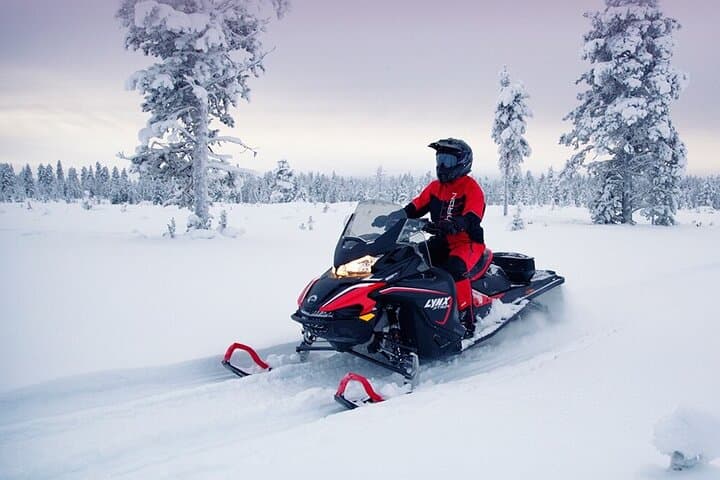 Small-Group Snowmobile Tour in Sinettä Wilderness (3 Hours) photo 2