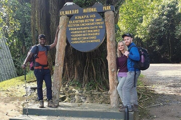 Kilimanjaro Mandara Hut Day Hike: Rainforest Trails and Peak Views from Moshi photo 4