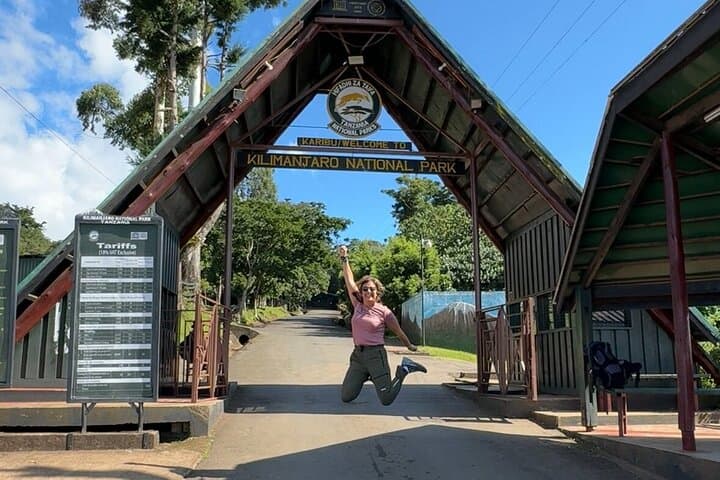 Kilimanjaro Mandara Hut Day Hike: Rainforest Trails and Peak Views from Moshi photo 5