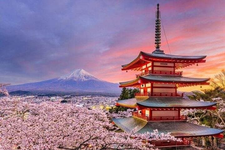 Private Mount Fuji Day Tour from Tokyo: Chureito Pagoda, Kawaguchi & Oshino Hakkai photo 2