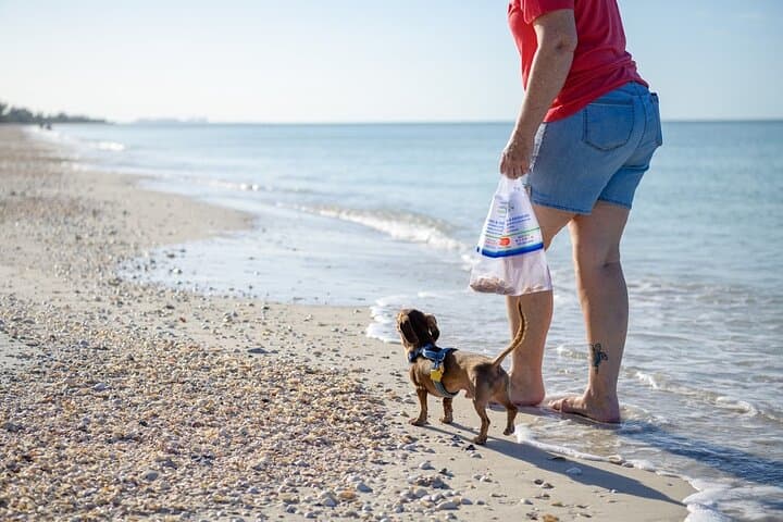 Bark on the Ark: Dog-Friendly Keewaydin Island Cruise from Naples photo 3