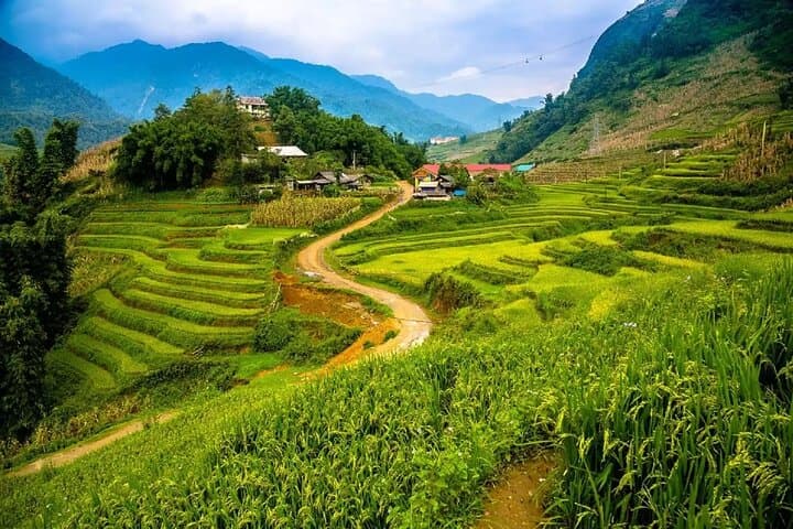 2-Day Sapa Trek & Homestay: Muong Hoa Valley to Ta Van Village