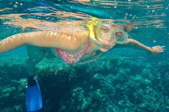 Snorkel Santa María & Chileno Bays: Small-Group Zodiac Adventure in Los Cabos photo 5