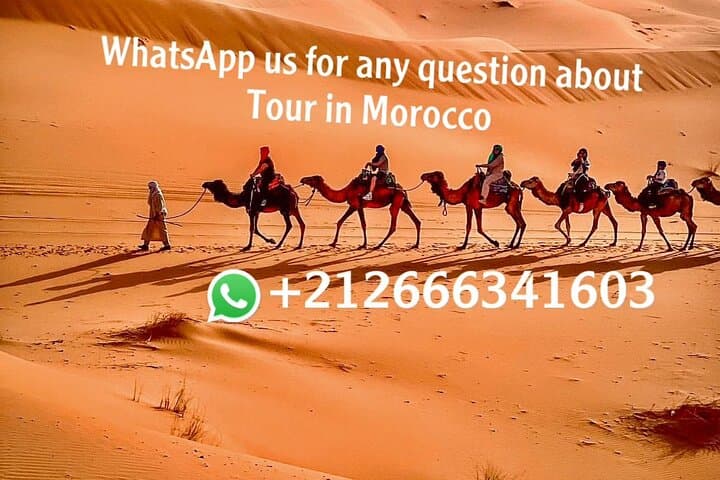 Erfoud to Erg Chebbi: Overnight Camel Trek and Desert Camp Experience photo 2