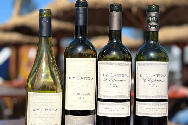 Wine & Music Tasting at Puerto Madero: D.V. Catena & Fiambres by the Río photo 1