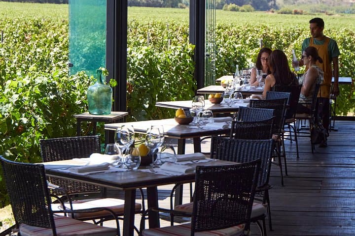 Colchagua Valley Wine Experience: Lapostolle & Montes Wineries Day Tour from Santiago photo 5