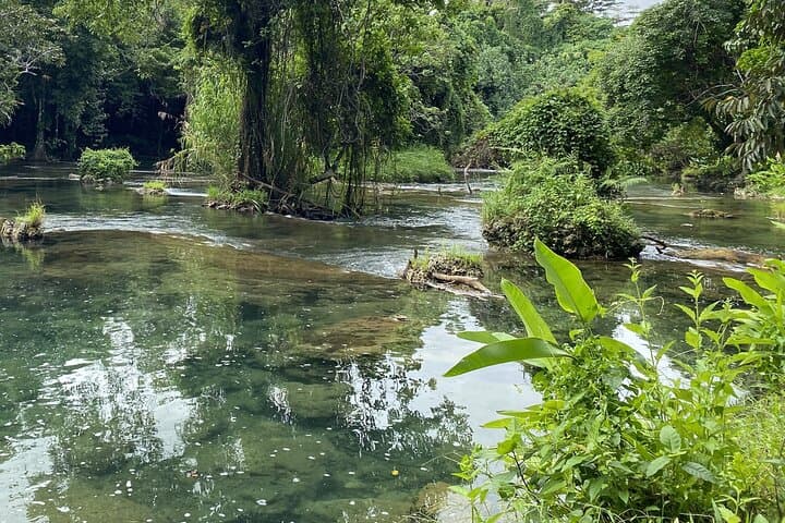 Rarru Cascades: Rainforest Waterfall Swim & Traditional Kava Experience photo 4