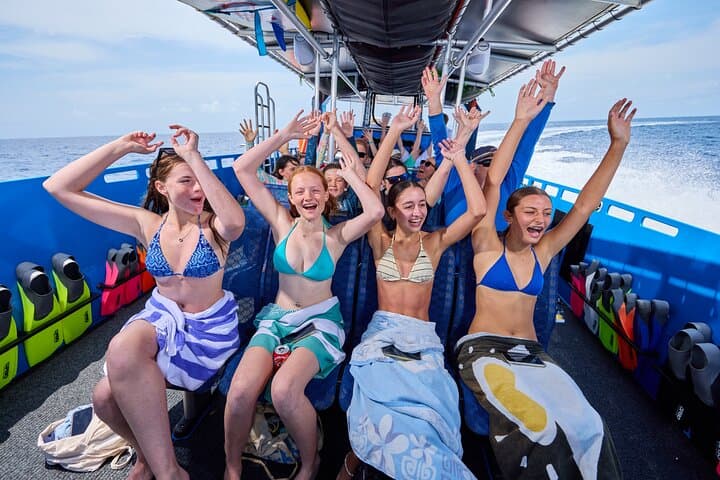 Half-Day Great Barrier Reef Snorkel from Cairns — Small-Group Outer Reef Trip photo 4
