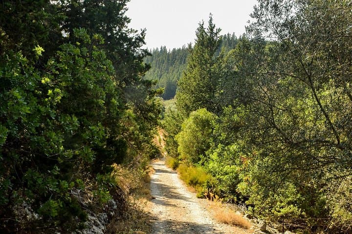 Cypress Villages Hike in Apokoronas: Vafes to Krionerida Cave Day Trek photo 3