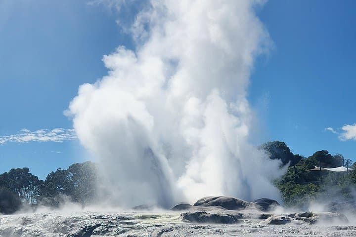 Auckland to Hobbiton & Te Puia: Private Full-Day Rotorua and Matamata Tour photo 2