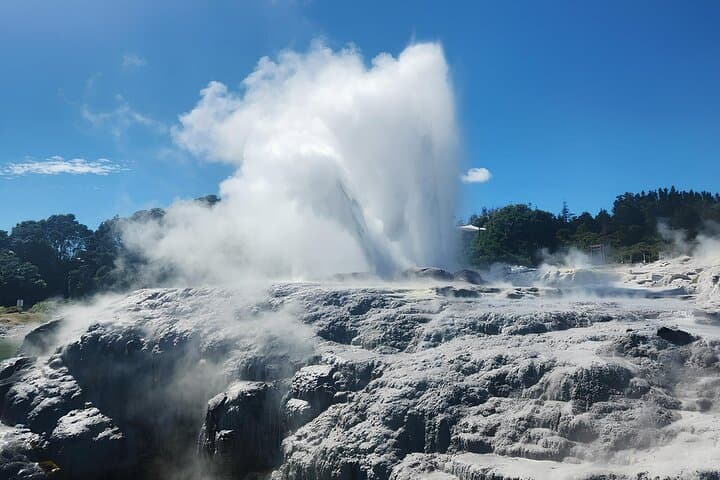 Auckland to Hobbiton & Te Puia: Private Full-Day Rotorua and Matamata Tour photo 1
