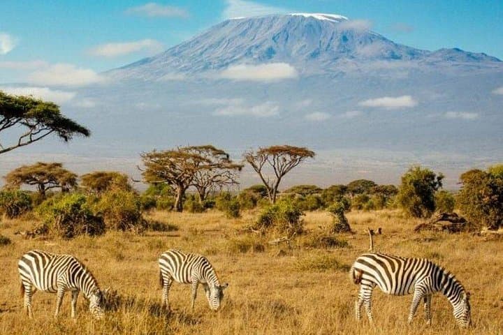 3-Day Amboseli Safari: Kilimanjaro Views & Elephant Herds from Nairobi photo 2