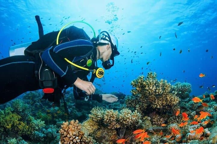Discover Scuba Diving at Kite Beach Dubai — Beginner 45-Min Dive with Transfers photo 2