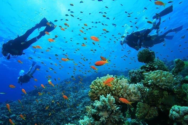 Discover Scuba Diving at Kite Beach Dubai — Beginner 45-Min Dive with Transfers photo 3