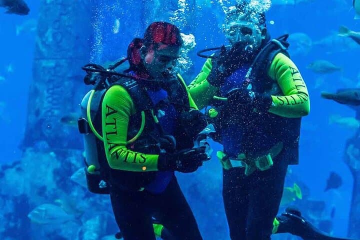 Discover Scuba Diving at Kite Beach Dubai — Beginner 45-Min Dive with Transfers photo 5