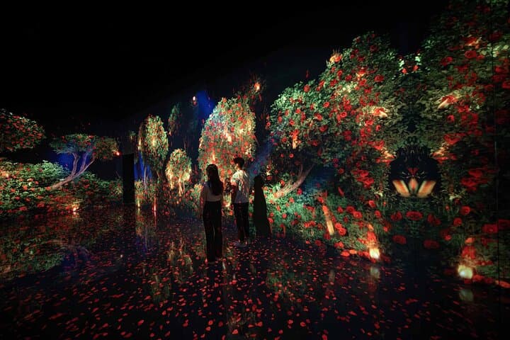 Arte Museum Dubai Admission: Immersive Nature & Sensory Art Experience