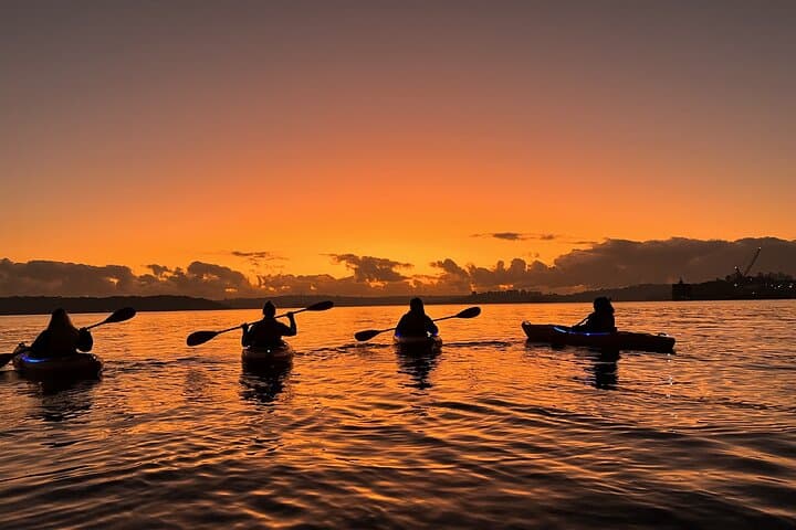 Sunrise Kayak on Sydney Harbour: Paddle the Opera House & Harbour Bridge photo 5