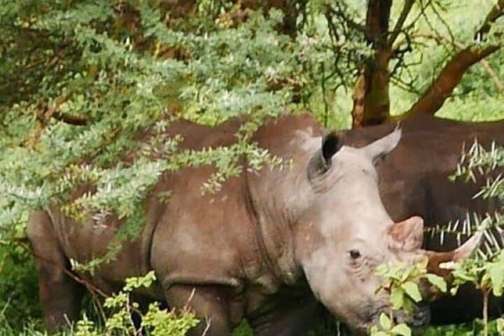 2-Day Safari: Biking Hell’s Gate & Game Drives at Lake Nakuru