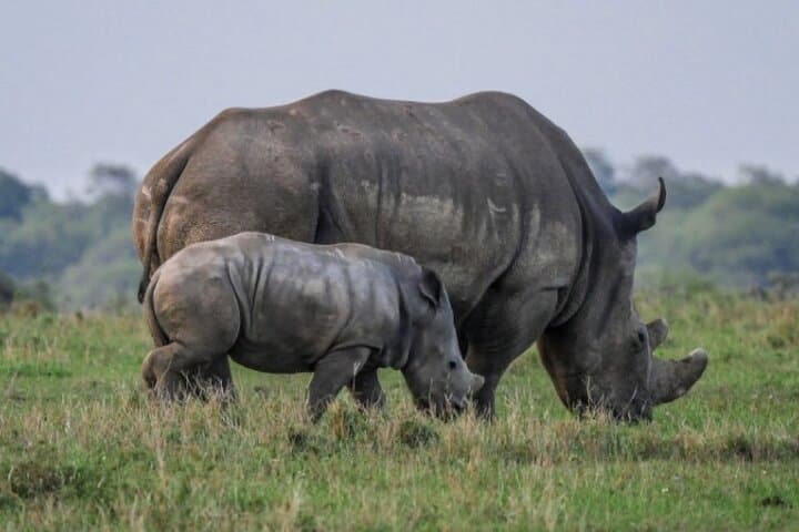 2-Day Safari: Biking Hell’s Gate & Game Drives at Lake Nakuru photo 3